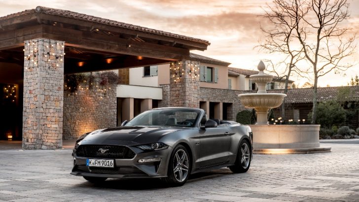 EN ÇOK SATAN SPORCU YİNE MUSTANG