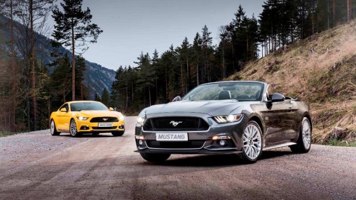 MUSTANG TUTKUNLARIYLA BULUŞUYOR