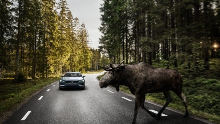 YENİ PREMİUM SEDANI VOLVO S90’I TANITTI