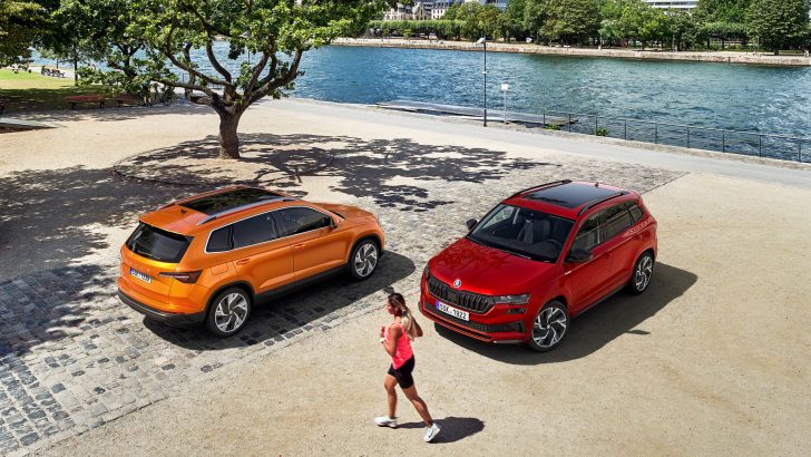 2022 Skoda Karoq karşınızda